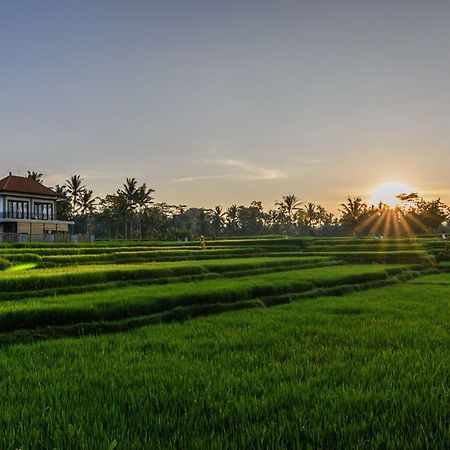 Pondok Anastasia Ubud Dış mekan fotoğraf