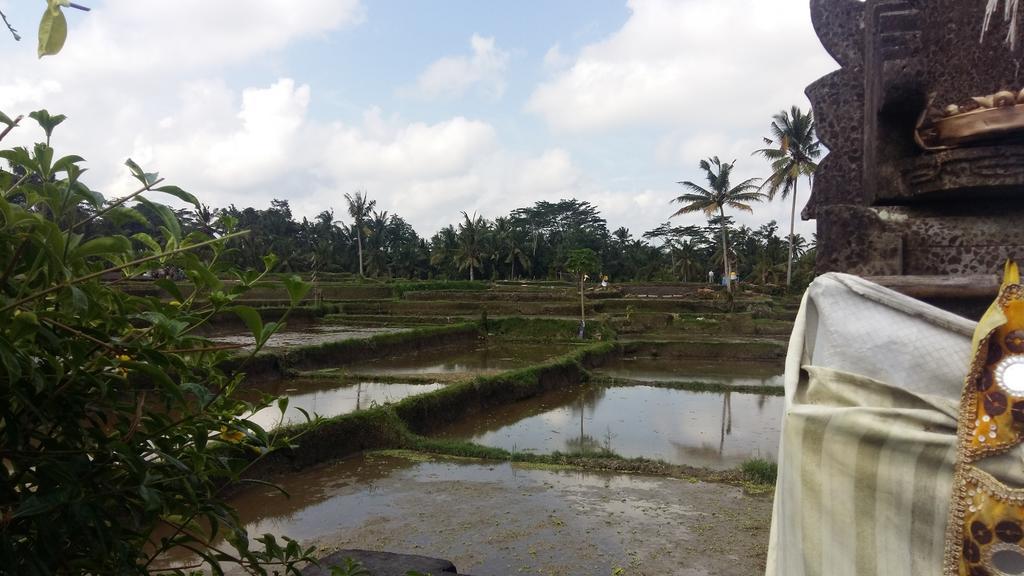 Pondok Anastasia Ubud Dış mekan fotoğraf