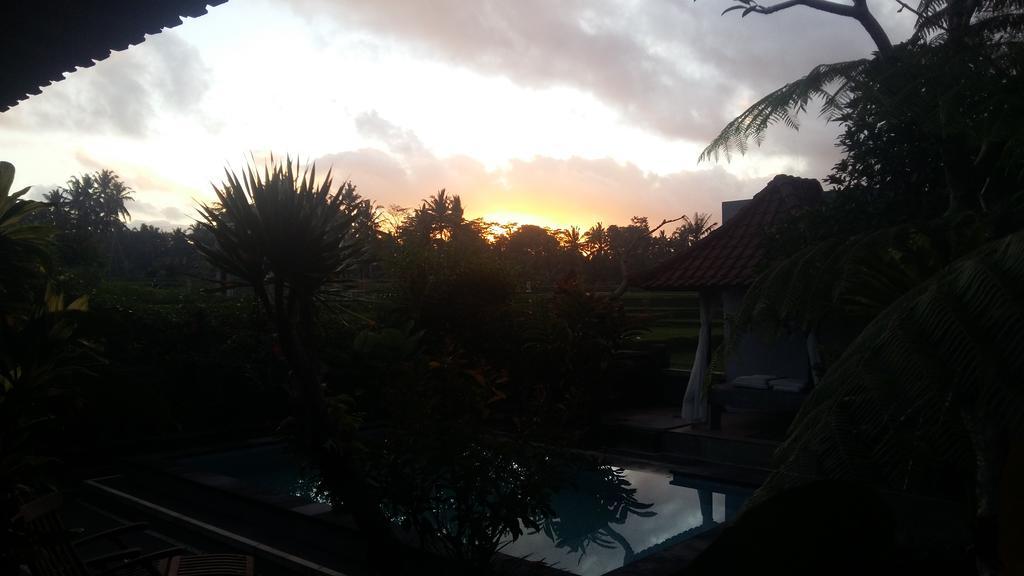 Pondok Anastasia Ubud Dış mekan fotoğraf