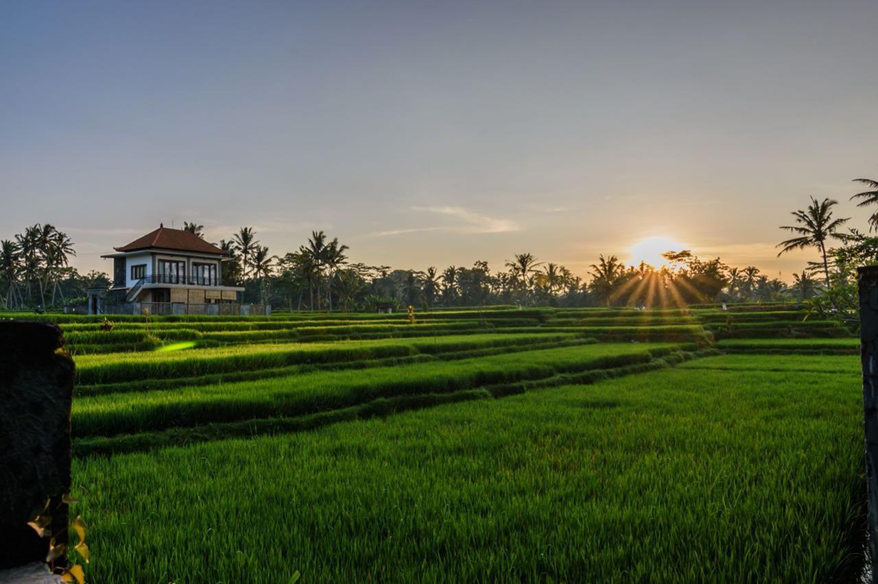 Pondok Anastasia Ubud Dış mekan fotoğraf