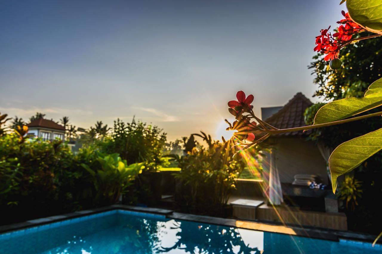 Pondok Anastasia Ubud Dış mekan fotoğraf
